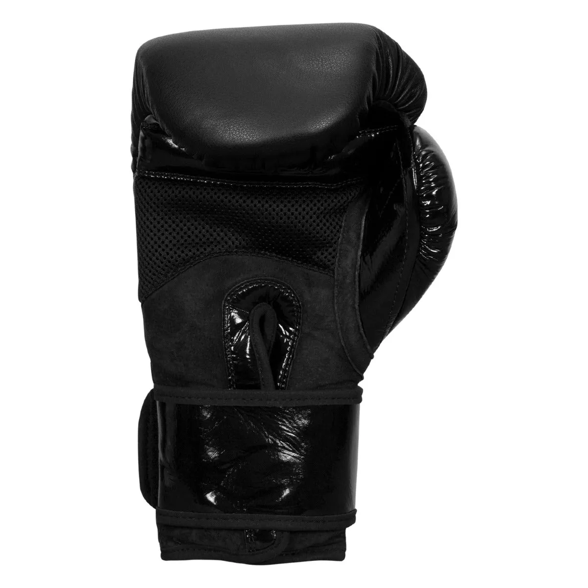 TITLE Black Blitz Sparring Gloves